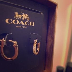 Coach rose gold earrings